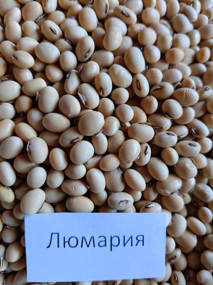 Люмария