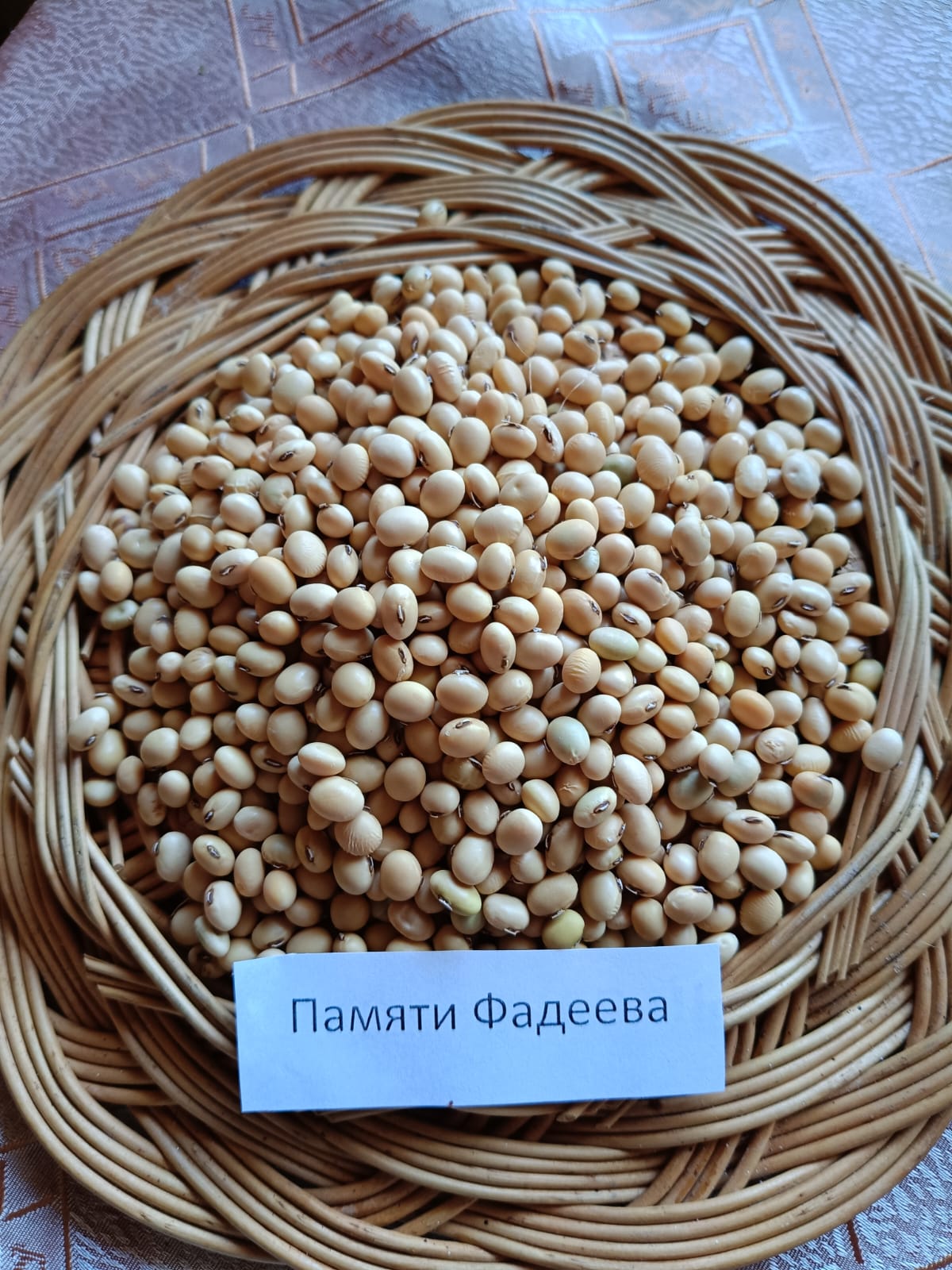 Памяти Фадеева