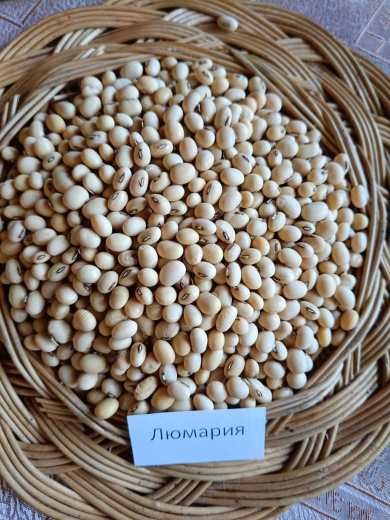 Люмария
